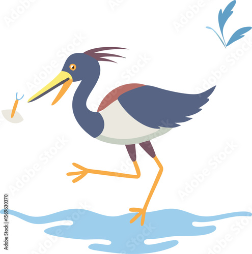 Tricolored heron dancing in water, stirring with foot, elegant, colorful, wetland, illustration
