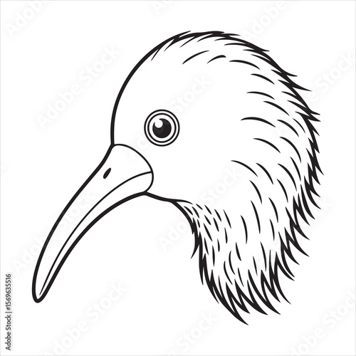 Silent Steps: Discovering the Secret Life of the Kiwi