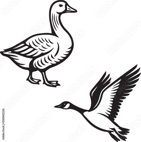 Set of Goose