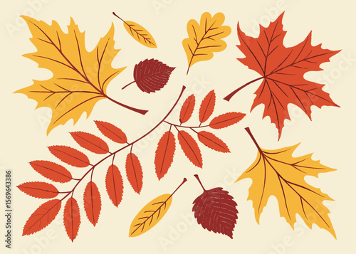 Colorful Autumn Leaves Arrangement Maple Oak and Rowan Leaves in Yellow Orange and Red Tones on Beige Background