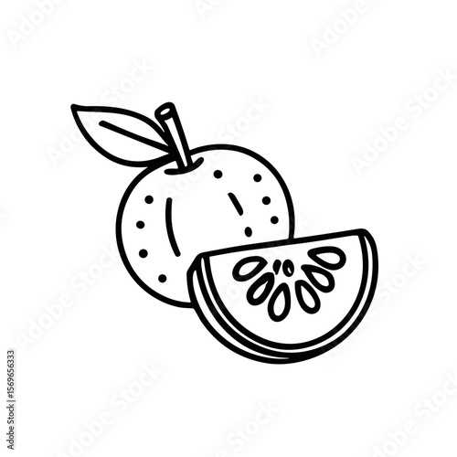 Line art drawing of a whole orange and a slice, showcasing citrus fruit detail.