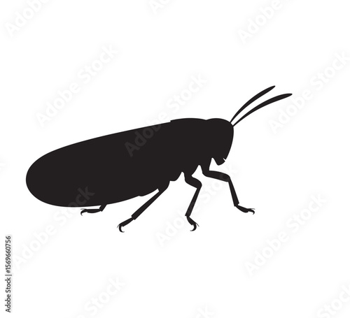 Black silhouette of a grasshopper with long antennae and legs