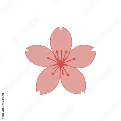 Minimalist Flower Illustrations