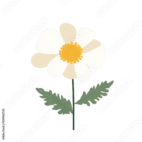 Minimalist Flower Illustrations