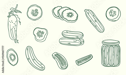 cucumbers - pickle doodle collection set - hand drawn sketch illustration