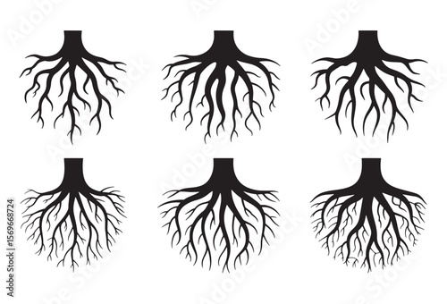 Six black silhouetted tree root systems on a white background