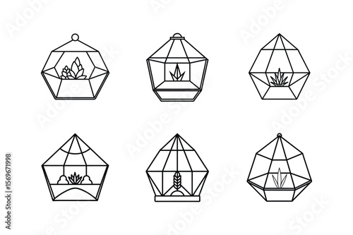 terrarium line art vector illustration