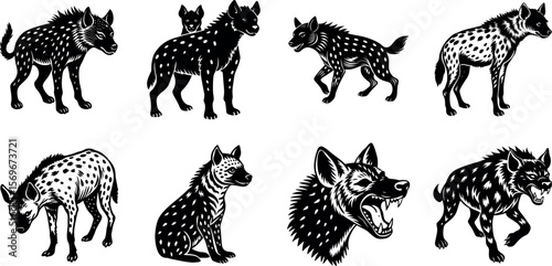 Black and white vintage illustrations depict various poses of hyenas