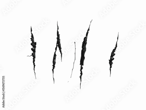Black claw scratch marks on white background 