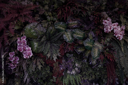 Mixed leaves, green leaves, abstract texture, tropical leaves, natural dark green background. PHOTO