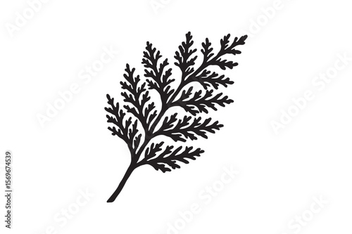 cedar branch icon silhouette vector art illustration on white background