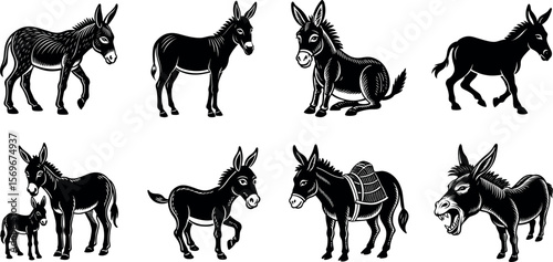 Various donkeys are illustrated in black and white isolated on transparent background