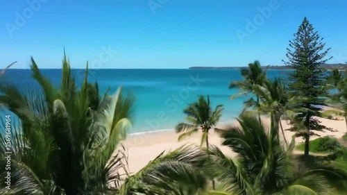 Aerial View of Tropical Beach with Palm Trees and Clear Turquoise Water