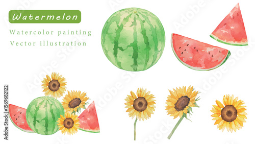 水彩で描いた美味しそうなスイカと明るいヒマワリの水彩ベクターイラスト