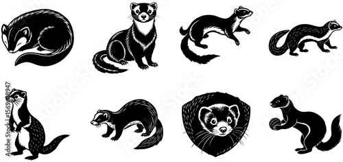A set of ferret illustrations isolated on transparent background
