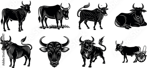 Various poses of bulls and cows isolated on transparent background