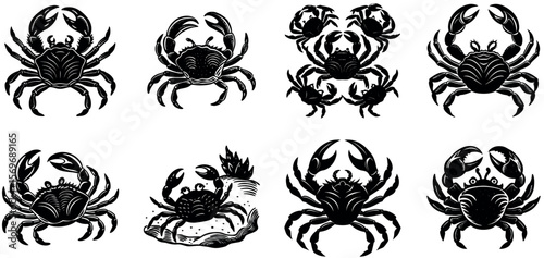Several crabs are illustrated isolated on transparent background