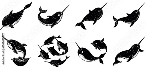 A group of narwhals swim isolated on transparent background