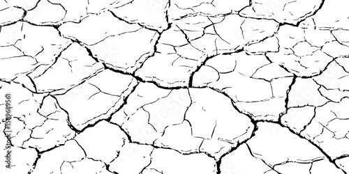 Black and white cracked earth texture with intricate patterns, symbolizing extreme drought, environmental stress, or parched landscapes. Perfect for backgrounds, climate themes, or natural decay visua