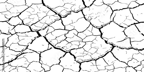 Black and white cracked earth texture with intricate patterns, symbolizing extreme drought, environmental stress, or parched landscapes. Perfect for backgrounds, climate themes, or natural decay visua