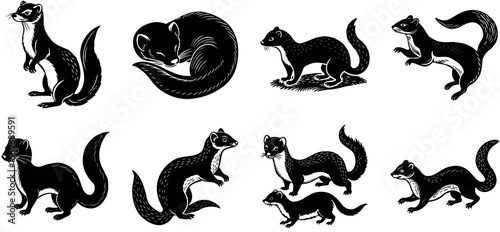 A collection of ermine illustrations isolated on transparent background