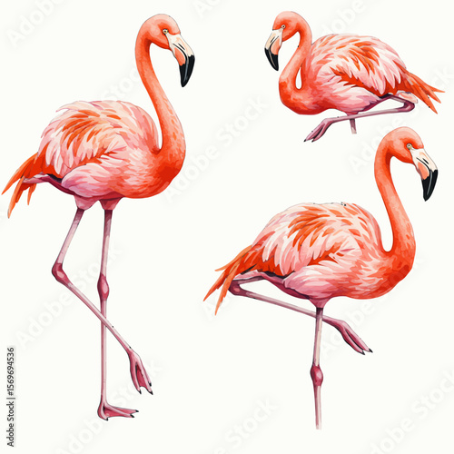 Flamingo Flock Elegant Pink Bird Illustrations for Tropical Designs