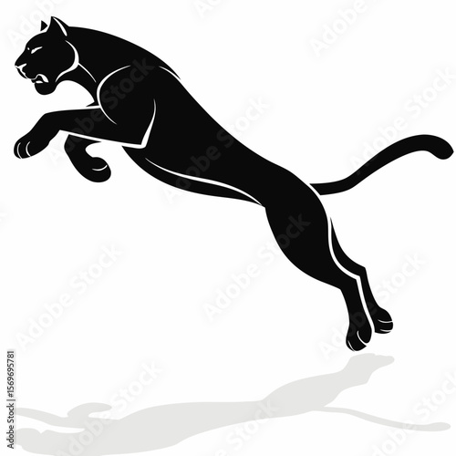 Tiger  jumping in the air