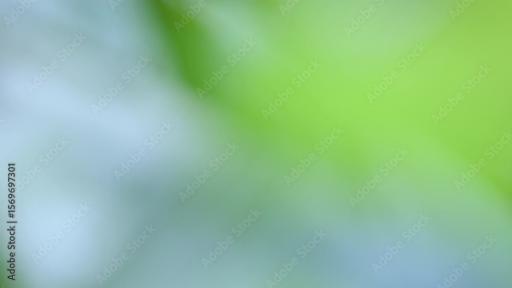 soft green natural bokeh background, blur nature, green bokeh light for background, ideal for summer background, and creative projects needing bright, fresh, and organic backdrops