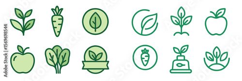 Collection of minimalistic green vegetable and plant icons for healthy lifestyle and organic themes