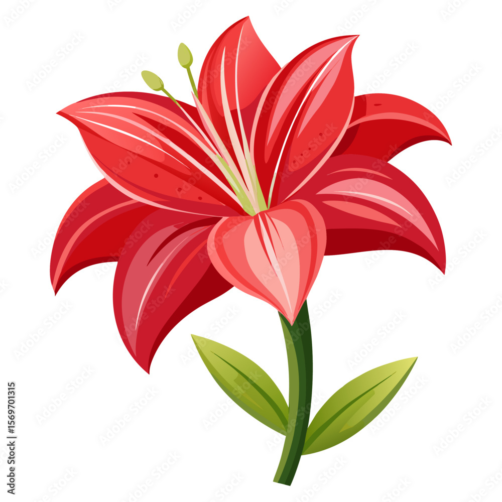 Fototapeta premium High-detail Amaryllis flower vector illustration in a flat, modern style