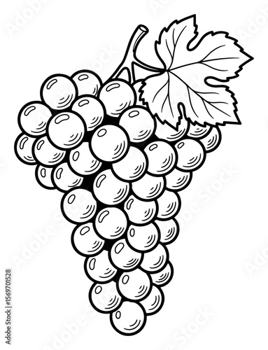 Monochrome Line Art Illustration of a Grape Bunch with Leaf