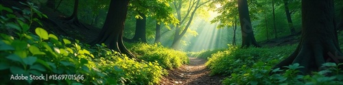 Mysterious Forest Path Sunlight Dapples a Winding Trail Leading to an Unknown Destination  Inviting Exploration and Adventure