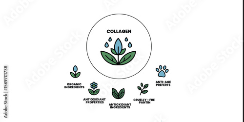 Collagen benefits with organic ingredients and antioxidant properties in a circular diagram design