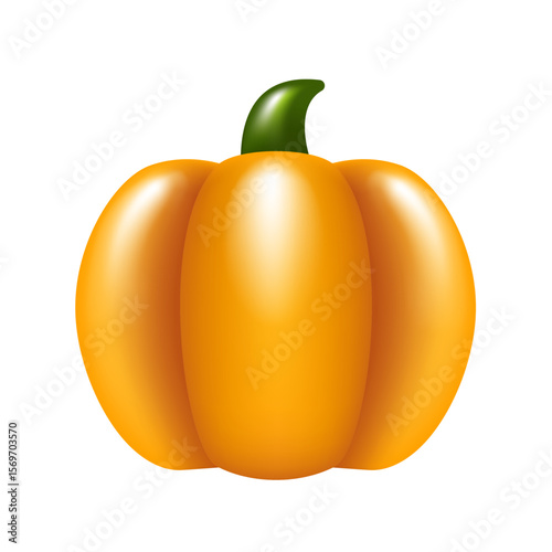 Pumpkin. Vector illustration isolated on white background.