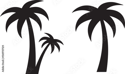 vector illustration of palm trees
