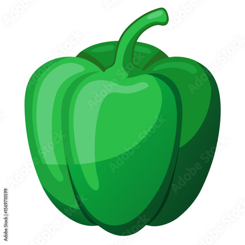 vector illustration of a green pepper