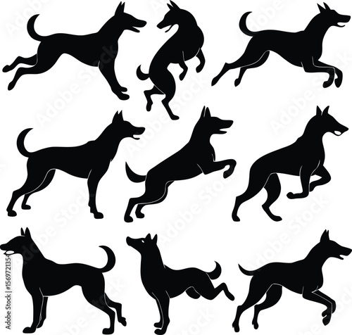 Set of black dog silhouettes depicting various poses and movements against white background