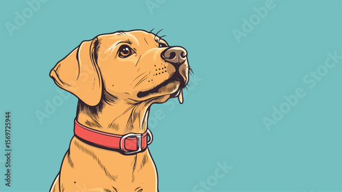 Colorful Dog Collar Doodle Vector Illustration for Pet Accessories