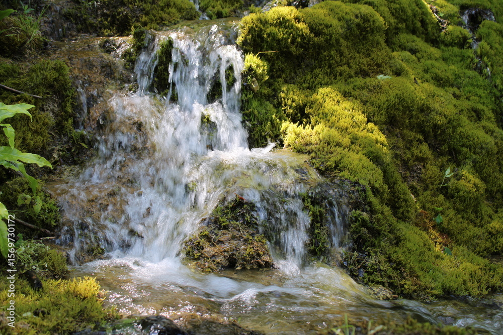 Fototapeta premium mini cascade