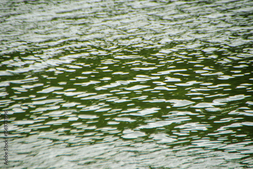 Fototapeta Naklejka Na Ścianę i Meble -  green color reflection of forest on the water surface