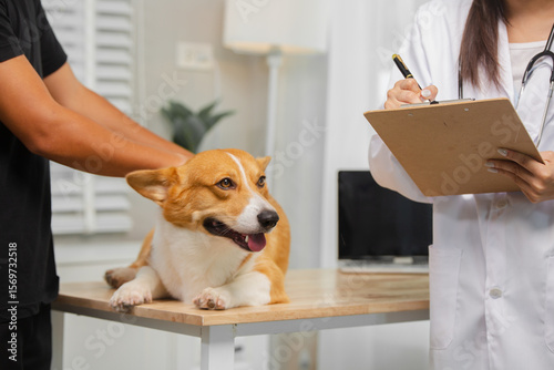 A young man takes his dog to a clinic for a checkup. A female veterinarian examines his dog with a stethoscope and notes on a clipboard, advising the owner on how to care for and maintain his dog.