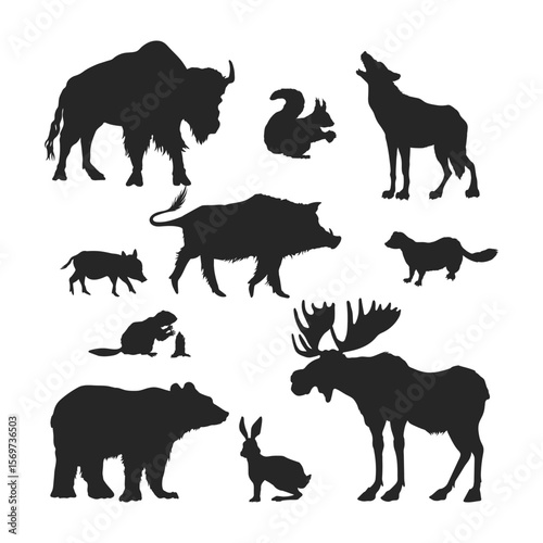 Wild forest animal silhouettes. Isolated drawing of elk, wolf and bear. Zoo icons set. North american wildlife