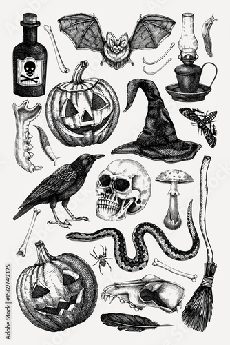 Halloween poster design template. Vintage wall art. Vector hand-drawn illustration for print. NOT AI generated
