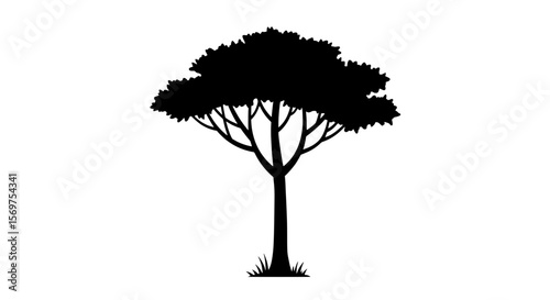 Silhouette of an acacia tree: A majestic acacia tree stands tall and proud against a white background. Its silhouette is a striking image of strength and resilience.