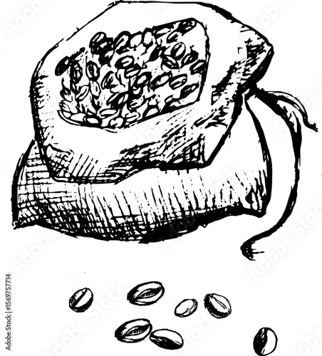 Hand-drawn sack of coffee beans with scattered coffee seeds  
