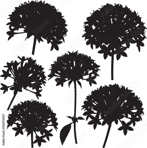 A comprehensive collection of black silhouette allium flower illustrations, showcasing various spherical blooms and detailed stems, ideal for garden and botanical-themed designs