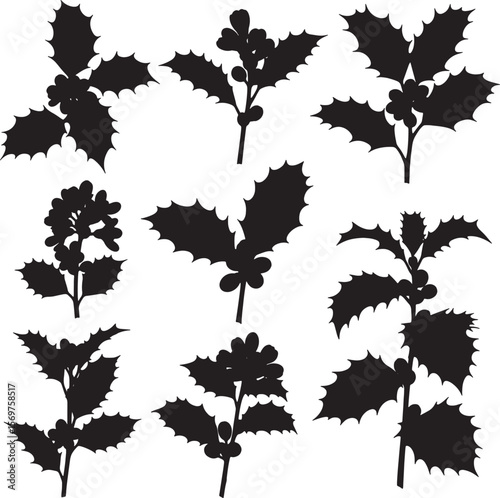 A detailed collection of various holly plant silhouettes with characteristic spiky leaves and berries, perfect for Christmas, winter, botanical, and festive design elements