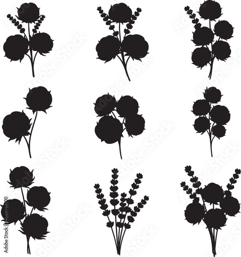 Collection of cotton and lavender plant silhouettes, ideal for natural, botanical, organic, textile, aromatherapy, and rustic-themed designs and illustrations