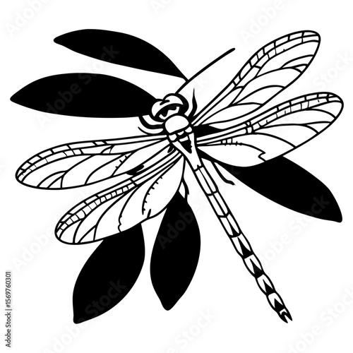 dragonfly vector illustration