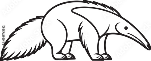 Anteater walking with bushy tail animal mammal